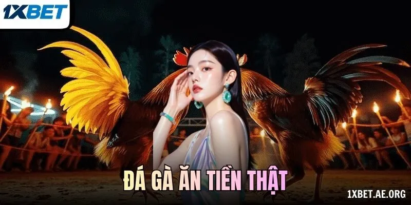 Đá gà ăn tiền thật