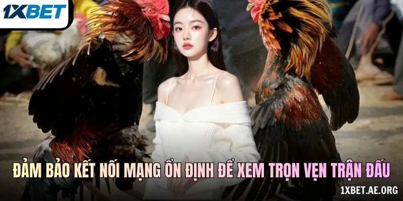 Kết Nối Và Trạng Thái Video