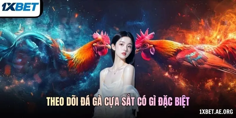 Mã Trận Và Bảng Thông Tin