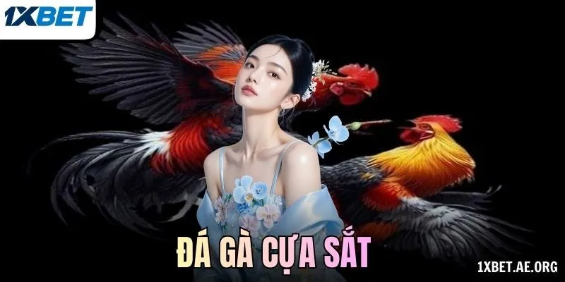 Đá gà cựa sắt