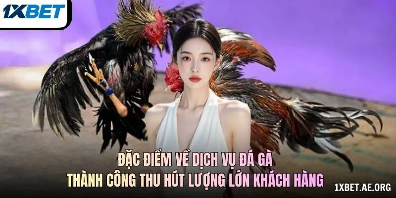 Nguồn Phát Và Dữ Liệu Trước Trận