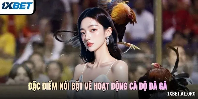 Mức Video Và Bảng Thông Tin Trận