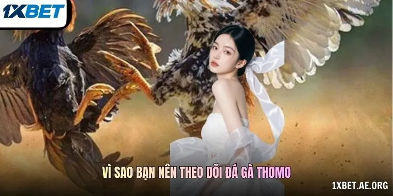 Video Và Bảng Thông Tin