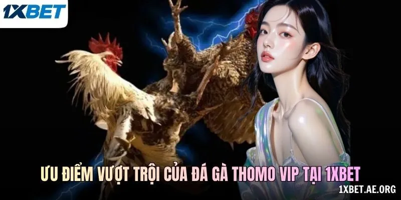 Video Và Dữ Liệu Trận