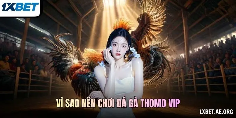 Thể Lệ Và Thông Tin Của Bản Ghi