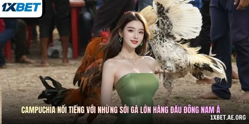 Thông tin trường đấu cần đối chiếu với nguồn công bố