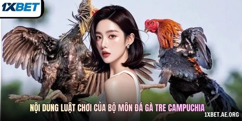 Nội dung luật chơi của bộ môn đá gà tre Campuchia