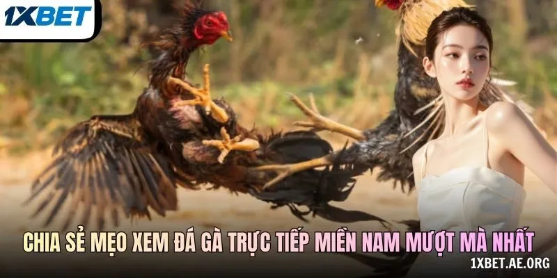Cách Đối Chiếu Luồng Phát
