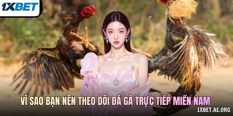Mã Sự Kiện Và Chất Lượng Video