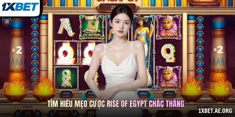 Mức Cược Và Lịch Sử Kết Quả